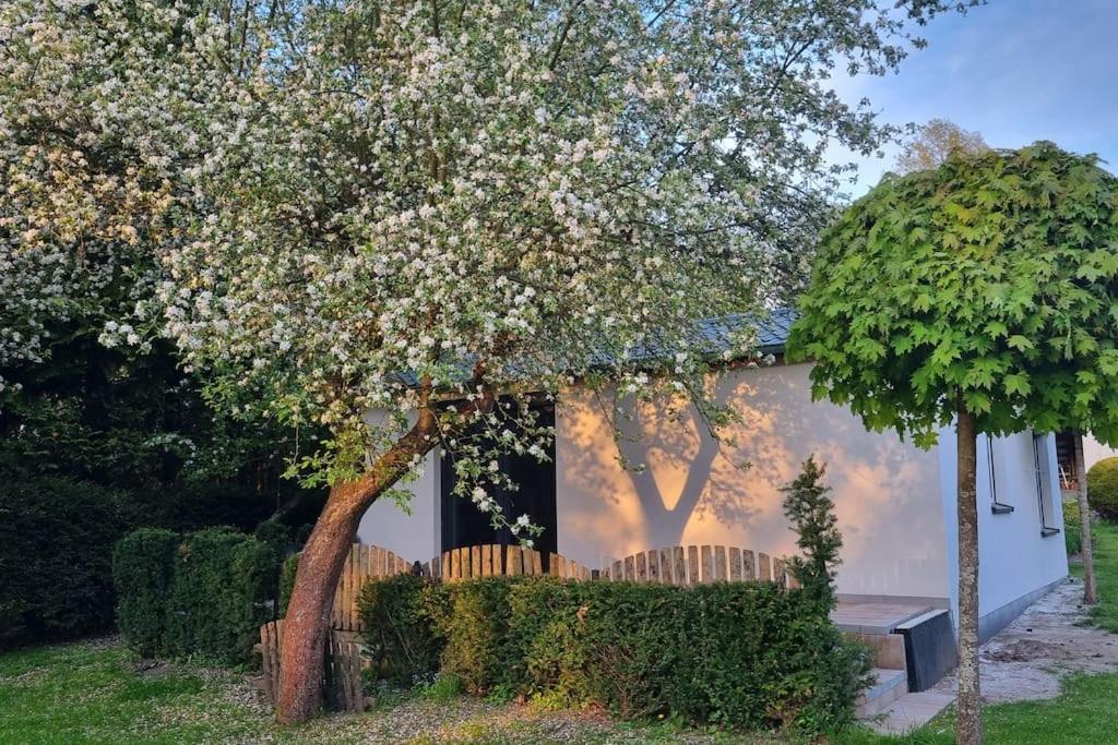 Villa Pod Jablonia Bromberg Exterior foto