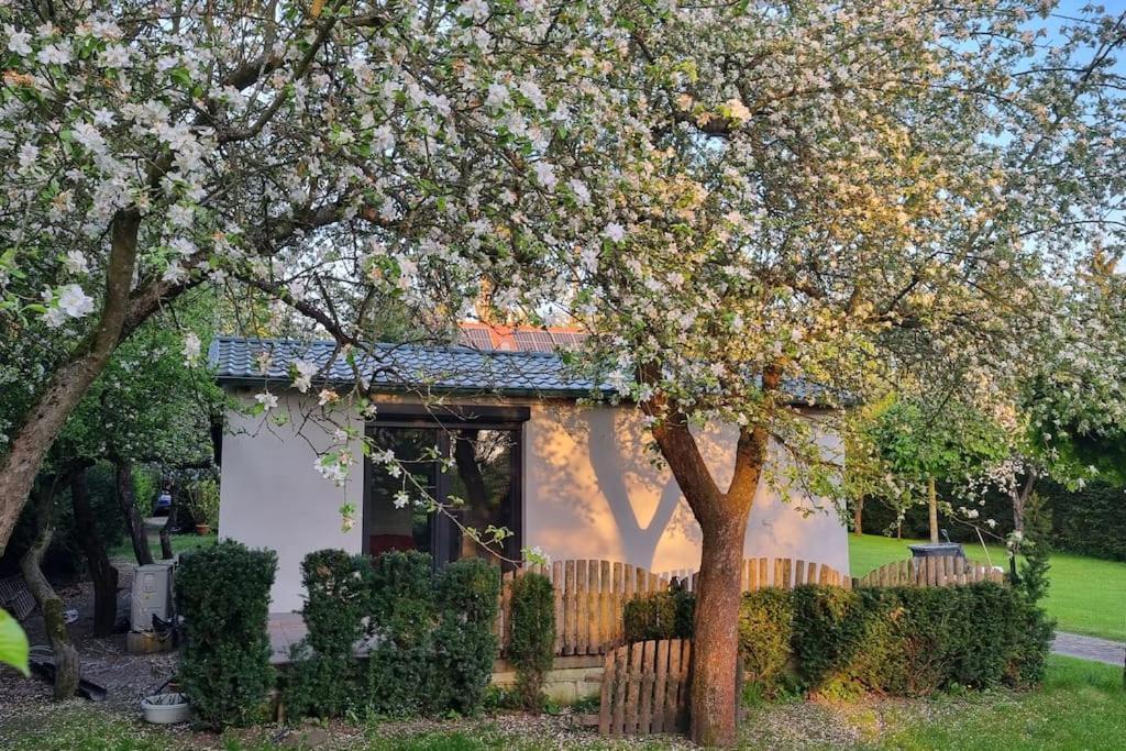 Villa Pod Jablonia Bromberg Exterior foto