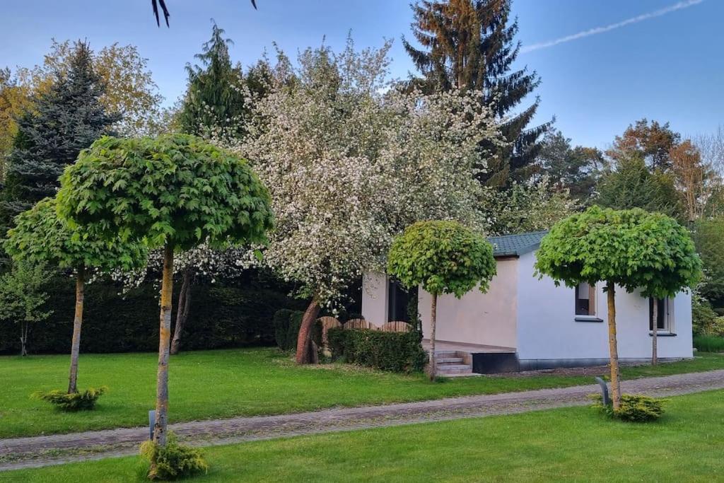 Villa Pod Jablonia Bromberg Exterior foto